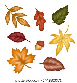 Set of autumn fall season leaves, red yellow and orange foliage isolated on white background