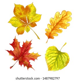 Set of autumn fallen leaves with watercolor texture. Colorful bright foliage. Vector illustration.