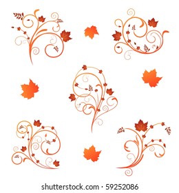 Set autumn floral design elements. Vector