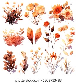 set of autumn floral watercolor