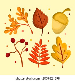 Set of autumn flower, plant, grass, leaf vector illustration. Fall collection element. Simple abstract design. Used for business, branding, symbol, sign, icon, logo, media, template and background.