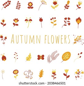 set of autumn flowers elements