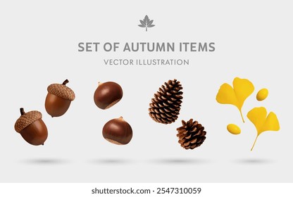 A Set of Autumn Forest Decorations 3D Vector Items: Acorn, Chestnut, Pinecone, Ginkgo Biloba