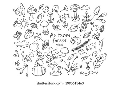 Set of Autumn Forest design elements in doodle hand drawn style. Collection of animals and natural objects in vintage style. Vector illustration isolated on white background.