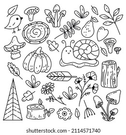 Set of Autumn Forest design elements in doodle hand drawn style. Collection of animals and natural objects in vintage style.