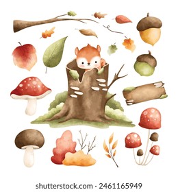 Conjunto de Elementos del bosque de otoño Clipart