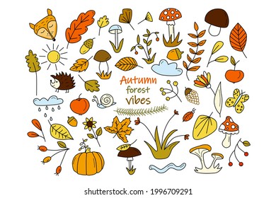 Set with autumn forest elements. Fall doodles of mushrooms, yellow and red leaves, forest inhabitants, juicy berries and herbs. Hand drawn vector illustration isolated on white background.