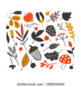 Set with autumn forest plants: leaves, branches, berries. 
Seasonal vector elements. Vector illustration.