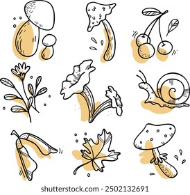 Set of autumn forest plants: mushrooms, leaves, berries. Autumn season. Hand drawn cartoon vector illustrations. Autumn collection. Set of isolated forest elements.