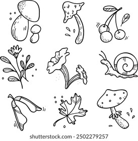 Set of autumn forest plants: mushrooms, leaves, berries. Autumn season. Hand drawn cartoon vector illustrations. Autumn collection. Set of isolated forest elements.