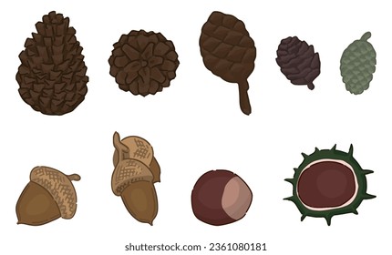 Set of autumn forest tree harvest. Doodles of acorns, pinecones, chestnuts. Cartoon vector illustrations collection isolated on white background.