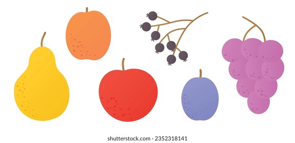 set of autumn fruits: pear, apple, peach, chokeberry, plum and grapes - vector illustration