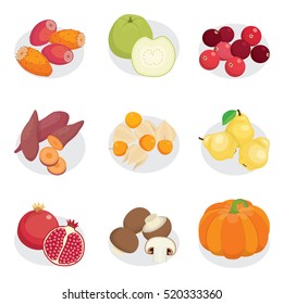 set of autumn fruits vegetable and mushroom 