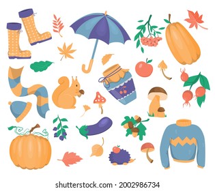 A set of autumn graphic elements on a white background. Seasonal clothing items and autumn leaves with vegetables. Clipart for creating patterns and layouts.