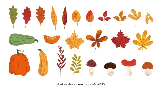 Set of autumn hand drawn leaves, pumpkins and mushrooms with textured effect. Modern flat vector fall elements.