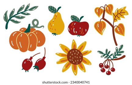 A set of autumn harvest items in a cute cartoon style. Pumpkin, apple, pear, rosehip, rowan, sunflower on a white background. Collection of elements of the autumn harvest.