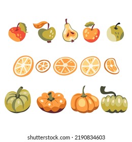 Set of autumn harvest: pumpkins, apples, citruses.  Fall decorative objects. Orange, red, green. Warm hygge aesthetics. Flat cartoon hand-drawn style