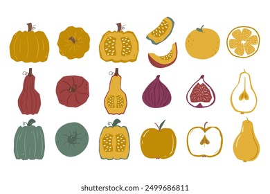 Set of autumn harvest pumpkins, apples, orange, fig and pear in flat minimalistic style. Vector illustration top view, full and in section.