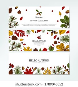 Set of autumn horizontal banners with hand drawn leaves, pinecone, Christmas tree branch, acorn and berries isolated on white. Space for text. Vector illustration in colored sketch style. 