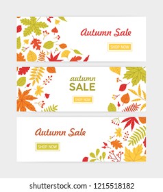 Set of autumn horizontal web banner templates with fallen tree leaves and sprigs with berries on white background. Flat bright colored vector illustration for seasonal sale advertisement, promotion.