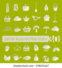 Set of autumn icons