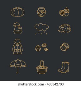 Set of autumn icons. Clothing, jam, weather, mushrooms, harvest etc. Vector symbols of fall. Modern set of line elements on dark background.