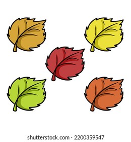 A set of autumn icons, different autumn linden leaf, leaf fall, vector illustration in cartoon style on a white background