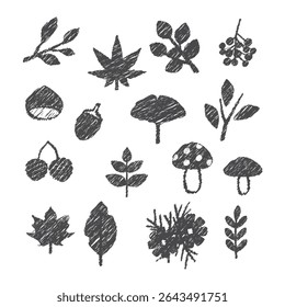 Set of autumn icons, hand drawn style, vector illustration.