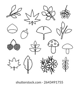 Set of autumn icons, hand drawn style, vector illustration.