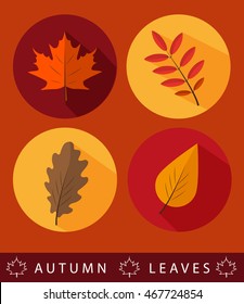 Set of autumn Icons  with maple and rowan leaves. Flat icons.