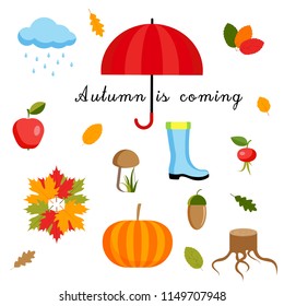 Set of autumn icons and objects, vector hand draw illustration 
