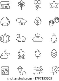 Set Of Autumn Icons, Season, Maple, Nature