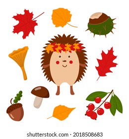 Conjunto de ilustraciones de otoño con adorables erizos, colección de caídas, ilustraciones aisladas de vectores planos sobre fondo blanco