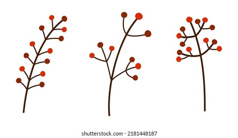 Set of autumn isolated branches with berries. Decorative red berries. Vector botanical illustration of seasonal berries.