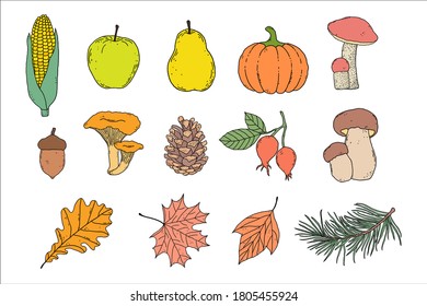 Set of autumn items in hand drawn style on white background.
