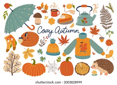 Set of autumn items isolated on a white background. Vector graphics.