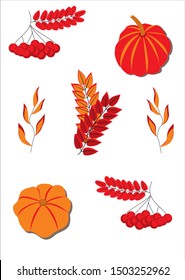 set of autumn items, pumpkins, berries and leaves