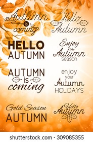 Set of autumn labels and signs. Vector design of the autumn flyer with leaves and sun. Poster template.