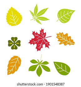 Set of autumn leaf. Collection of forest leaves from a tree. Plants for the design of postcards. Color illustration on a white background. Autumn leaf.