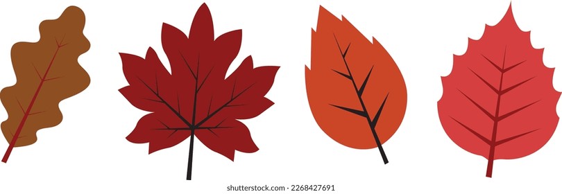 Set of Autumn leaf. fall leaves illustration