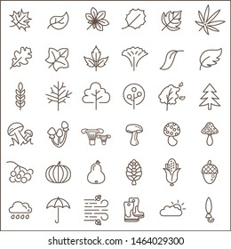 Set of autumn and leaf Icons line style. Included the icons as foliage,  tree, plant, wood, mushroom And Other Elements.
customize color,  easy resize.