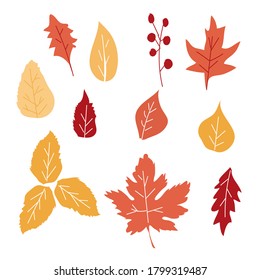 Set of autumn leaf. Autumn leaves collection. Yellow autumnal garden leaf, red fall leaf and fallen dry leaves. Botanical forest plants or september october tree foliage. Flat isolated vector symbols