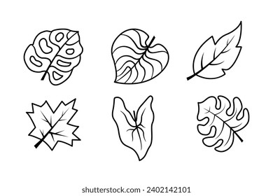 Set Autumn Leaf Lineart isolated on a white background. Design for stickers, logos, web, and mobile apps. Vector - Illustration. 