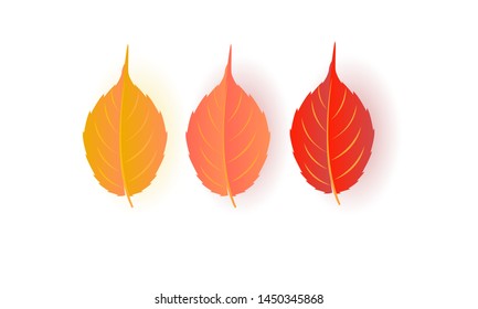 set of Autumn leaf. Autumn oak leaf isolated on a white background. Vector illustration