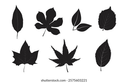 Set of autumn leaf silhouettes Isolated on White Background vector illustration