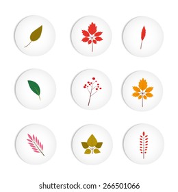 Set of autumn leafs buttons icons, vector illustration