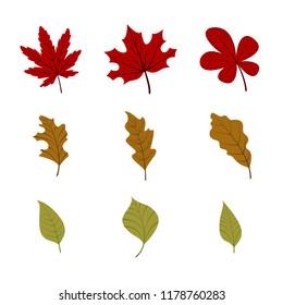 Set of autumn leaves