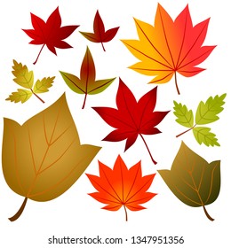 Set of autumn leaves