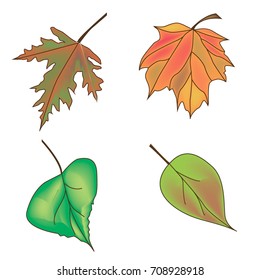 set of autumn leaves.