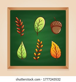 set of autumn leaves and acorn on green chalkboard background